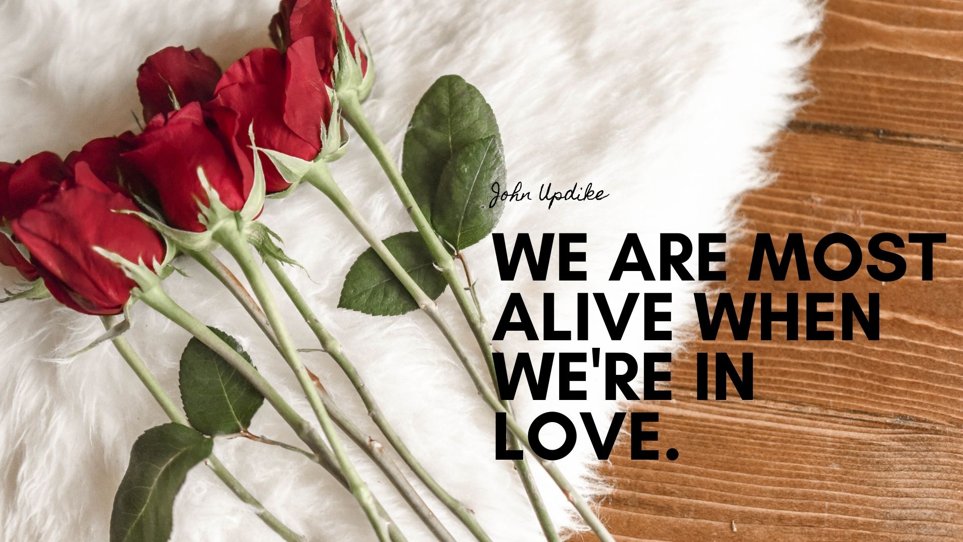 10 Best Valentine’s Day Quotes post thumbnail image