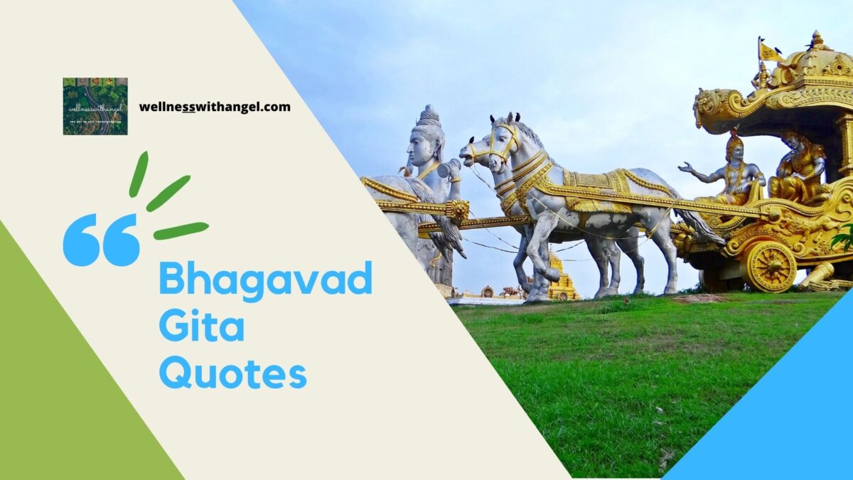 Read best life changing Bhagavad Gita quotes to understand the right path of wellness and wellbeing.